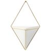 Декор для стен Trigg большой белый-латунь, Umbra, изображение 7