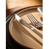 Набор столовых приборов Pure, серебристые глянцевые, 16 пред., Liberty Jones, изображение 4