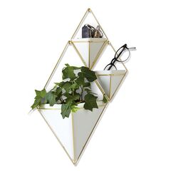 Декор для стен Trigg большой белый-латунь, Umbra, изображение 6