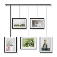 Панно для фотографий Exhibit черное, Umbra