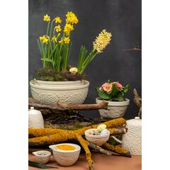 Миска для смешивания Birds of Paradise, 4,2 л, кремовая, Liberty Jones, изображение 5