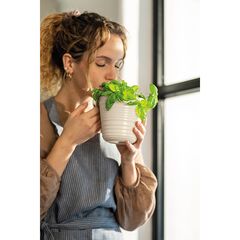 Кашпо для комнатных растений Tierra, серо-бежевое, Guzzini, изображение 2