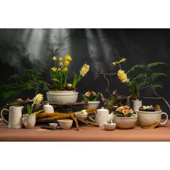 Кувшин Birds of Paradise, 980 мл, кремовый, Liberty Jones, изображение 5