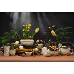 Набор чаш Birds of Paradise, 190 мл, кремовые, 2 шт., Liberty Jones, изображение 6