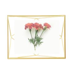 Фоторамка Prisma, 10х15, золотистая, UMBRA, изображение 6