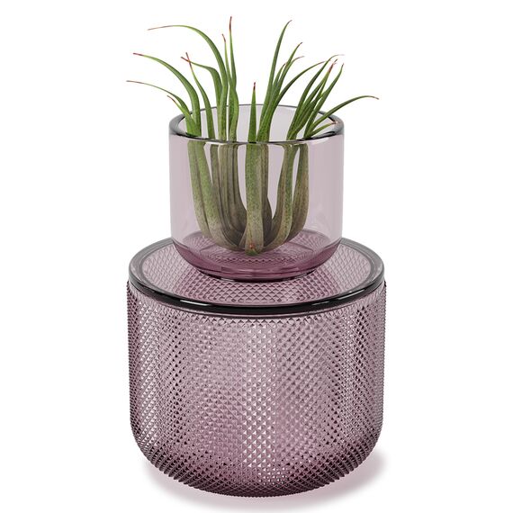 Шкатулка-органайзер Allira средняя сиреневая, Umbra, изображение 4