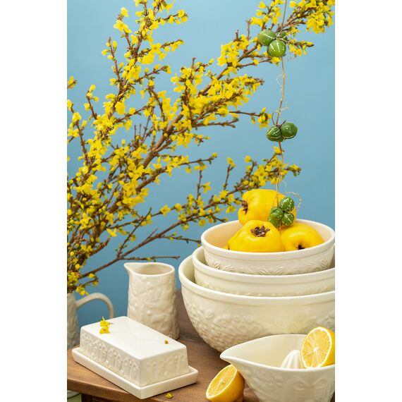 Масленка Birds of Paradise, кремовая, Liberty Jones, изображение 6