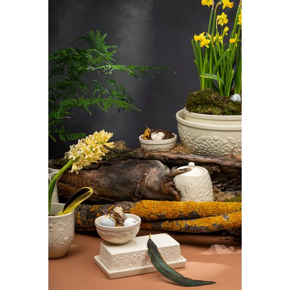 Масленка Birds of Paradise, кремовая, Liberty Jones, изображение 2