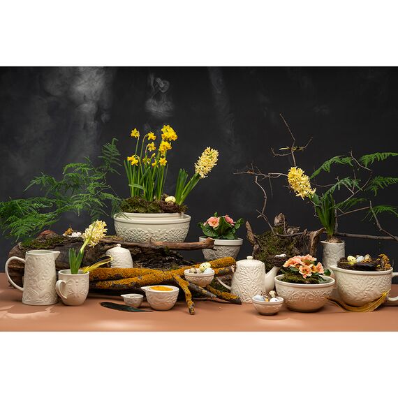 Сахарница Birds of Paradise, 400 мл, кремовая, Liberty Jones, изображение 3