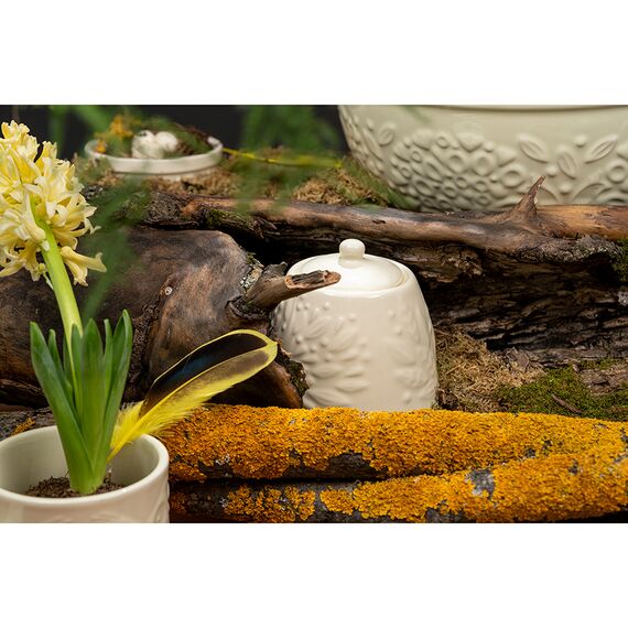 Сахарница Birds of Paradise, 400 мл, кремовая, Liberty Jones, изображение 4