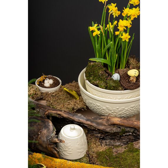 Сахарница Birds of Paradise, 400 мл, кремовая, Liberty Jones, изображение 5