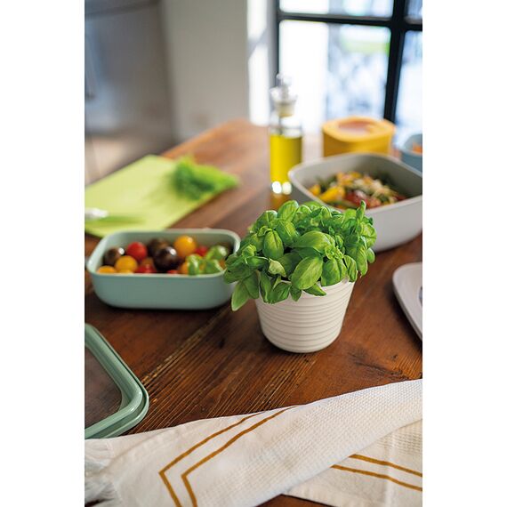 Кашпо для комнатных растений Tierra, серо-бежевое, Guzzini, изображение 8