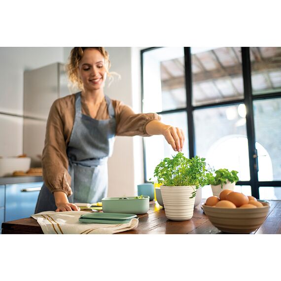 Кашпо для комнатных растений Tierra, бежевое, Guzzini, изображение 6