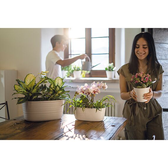 Кашпо для комнатных растений Tierra большое, бежевое, Guzzini, изображение 6