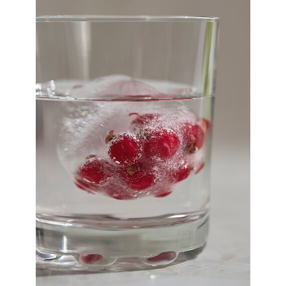 Форма для льда Freeze, Smart Solutions, изображение 7